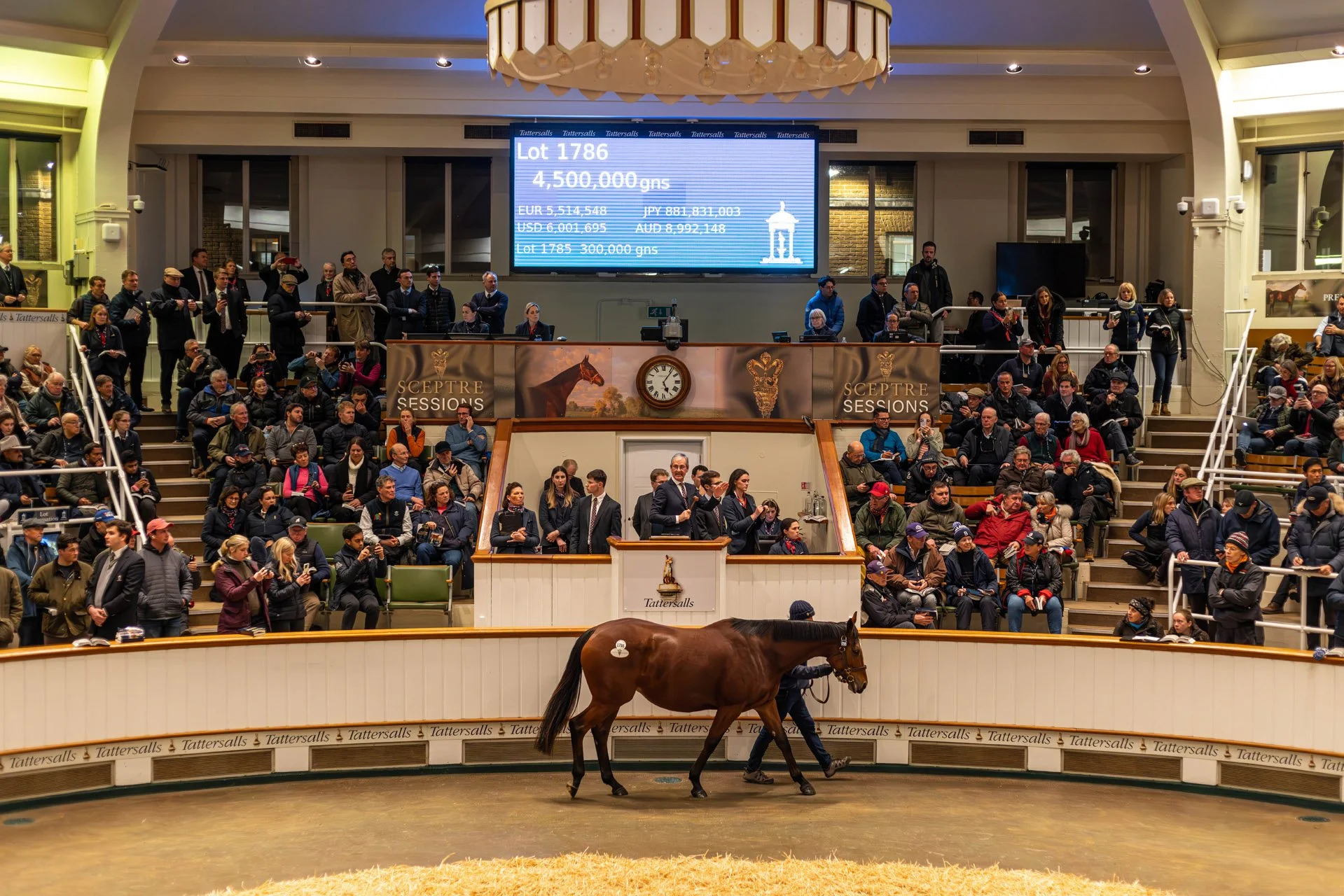 Teona - 4,500,000gns.jpg