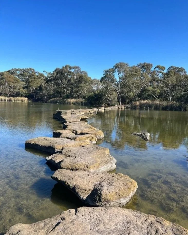 A stone pathway crossing a calm body of water with trees and clear blue sky in the background.