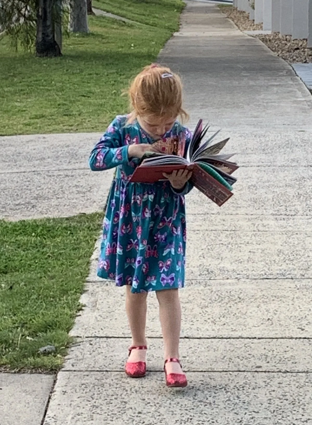 A young girl with red hair wearing a blue dress with butterfly prints, pink shoes, and a hair clip, is reading a book while standing on a sidewalk in a residential area with grass and trees.