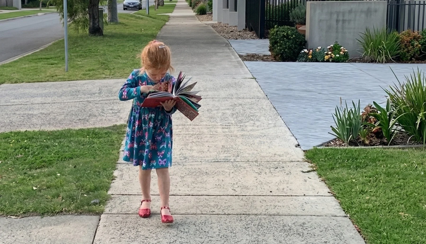 When Reading Becomes a Wellbeing Practice: National Education Summit