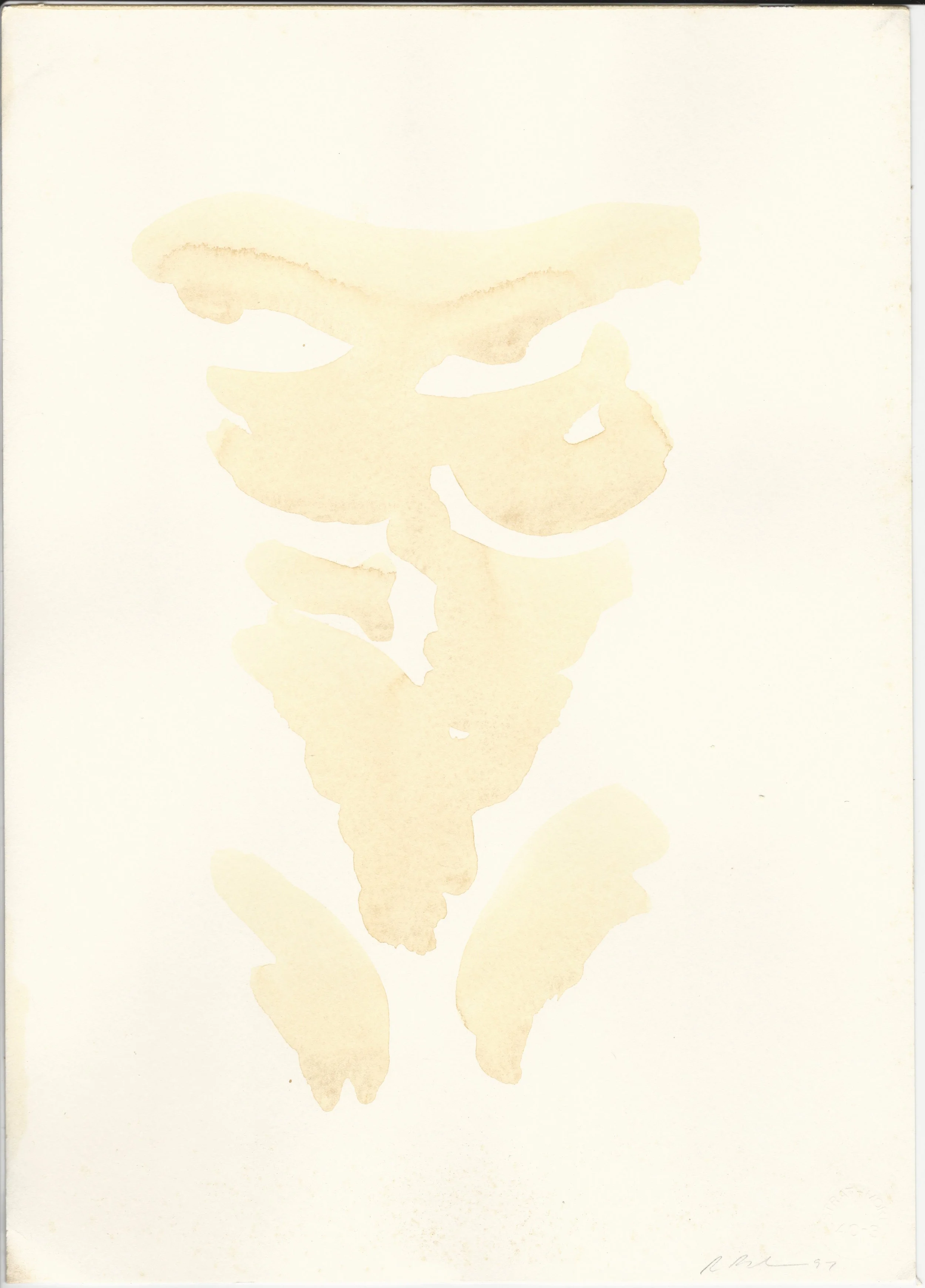 scan WCTorsoF1-97.jpeg