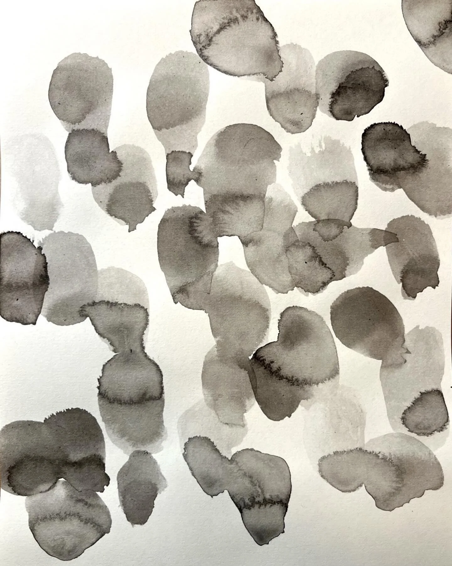 Image 16