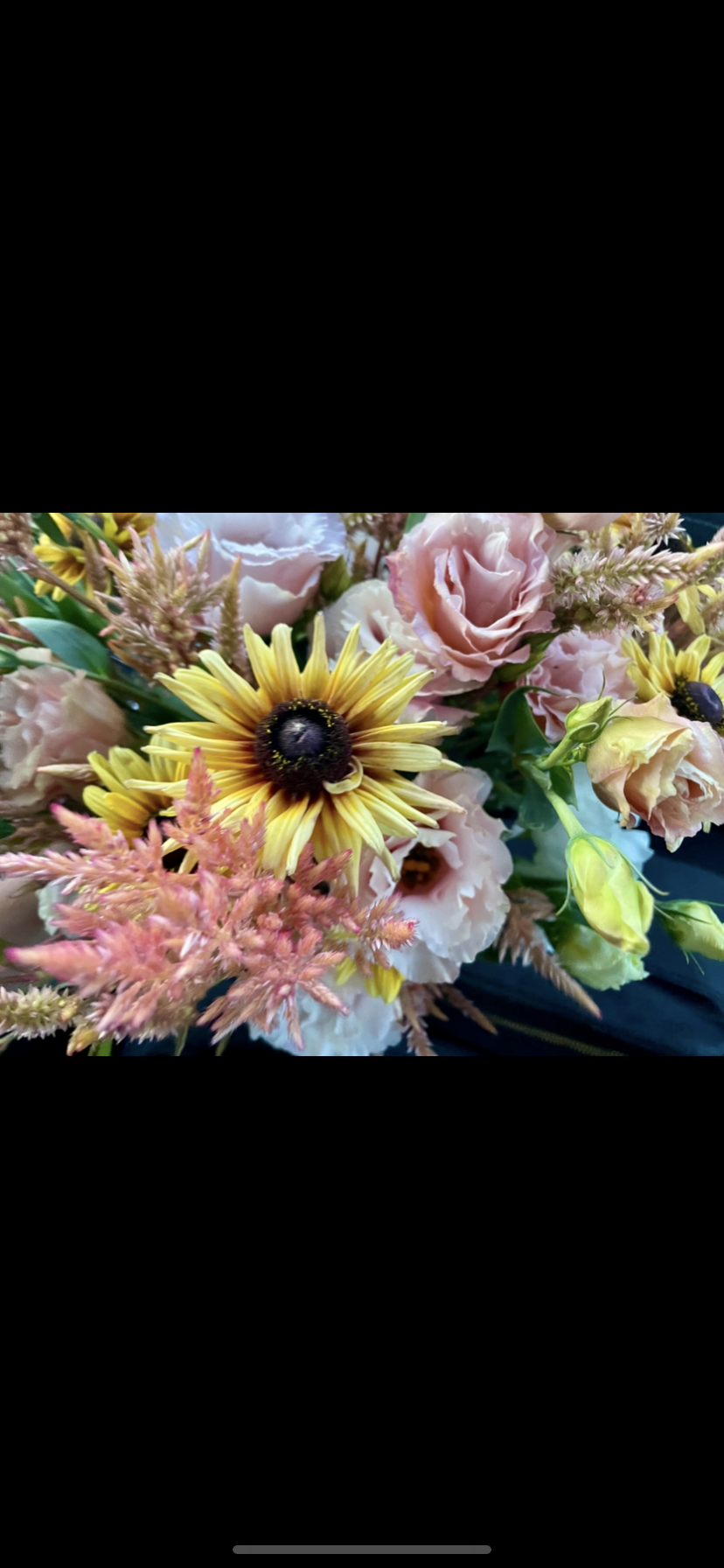 IMG_2285.PNG