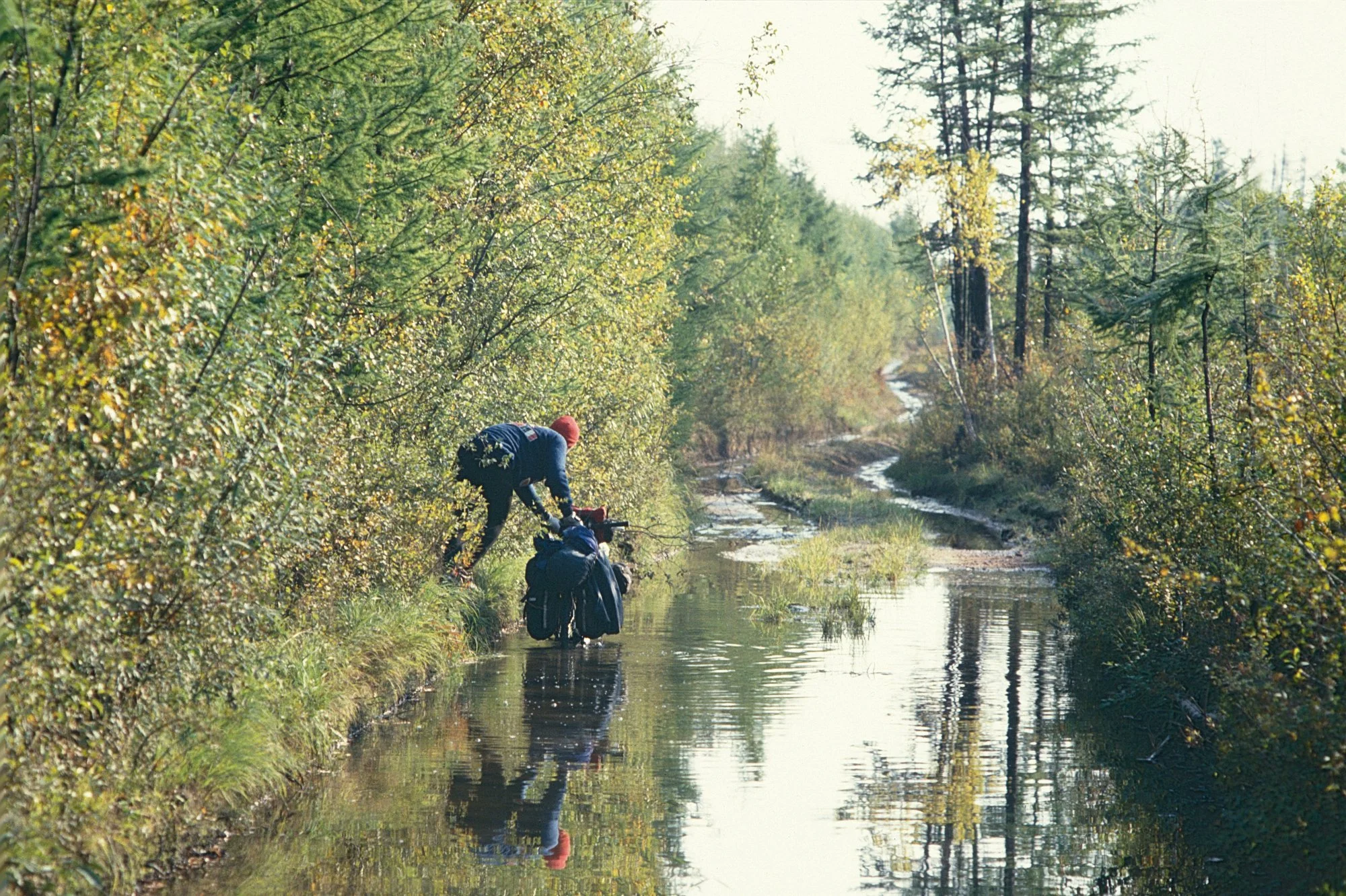 Simon heads for temporary dry land.