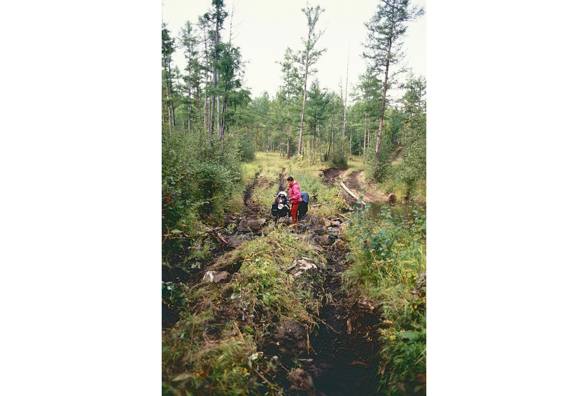 Another day in the swamp.