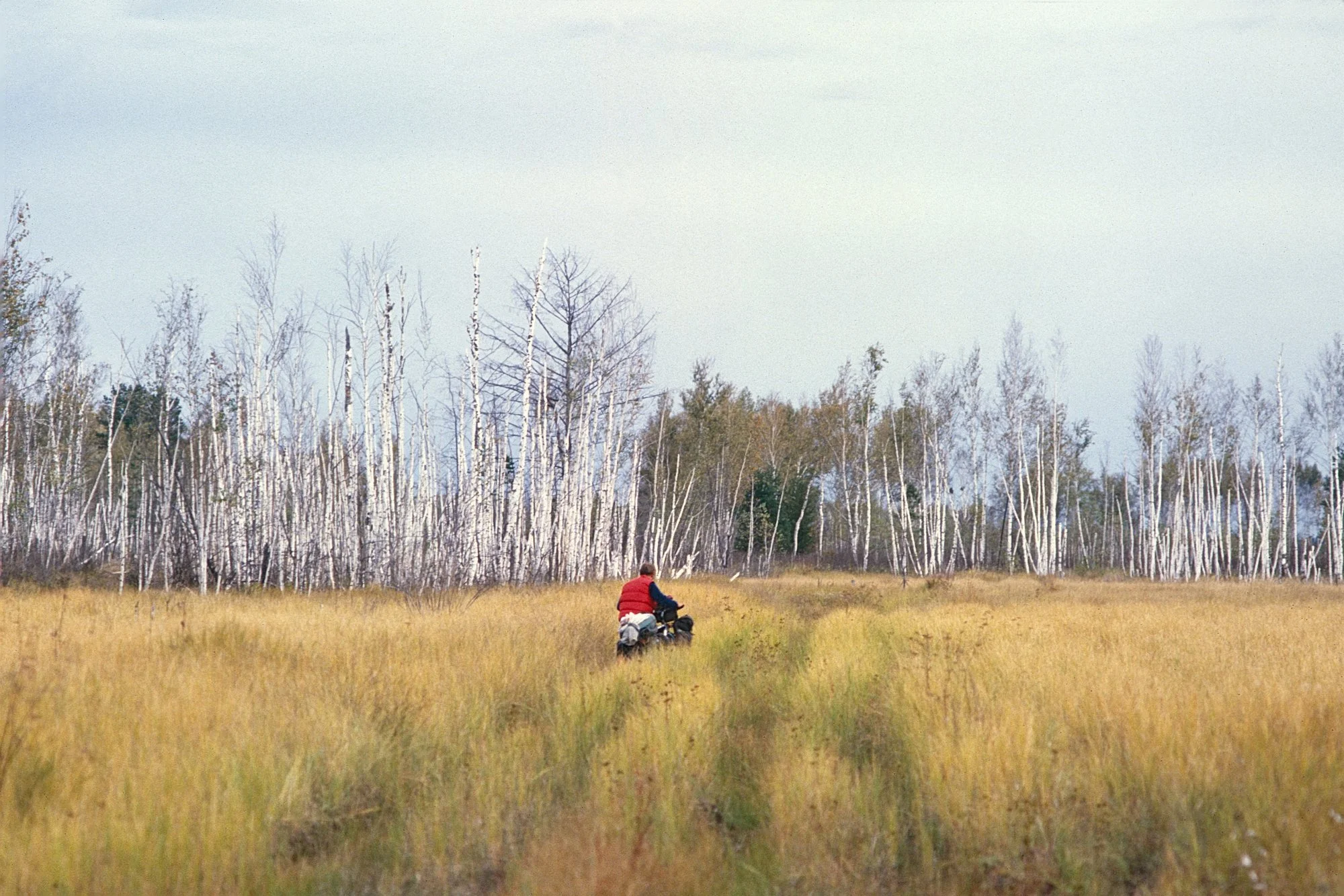It's starting to feel like winter, but if you have to push a bike in a swamp for a month, Siberia has nice views. 