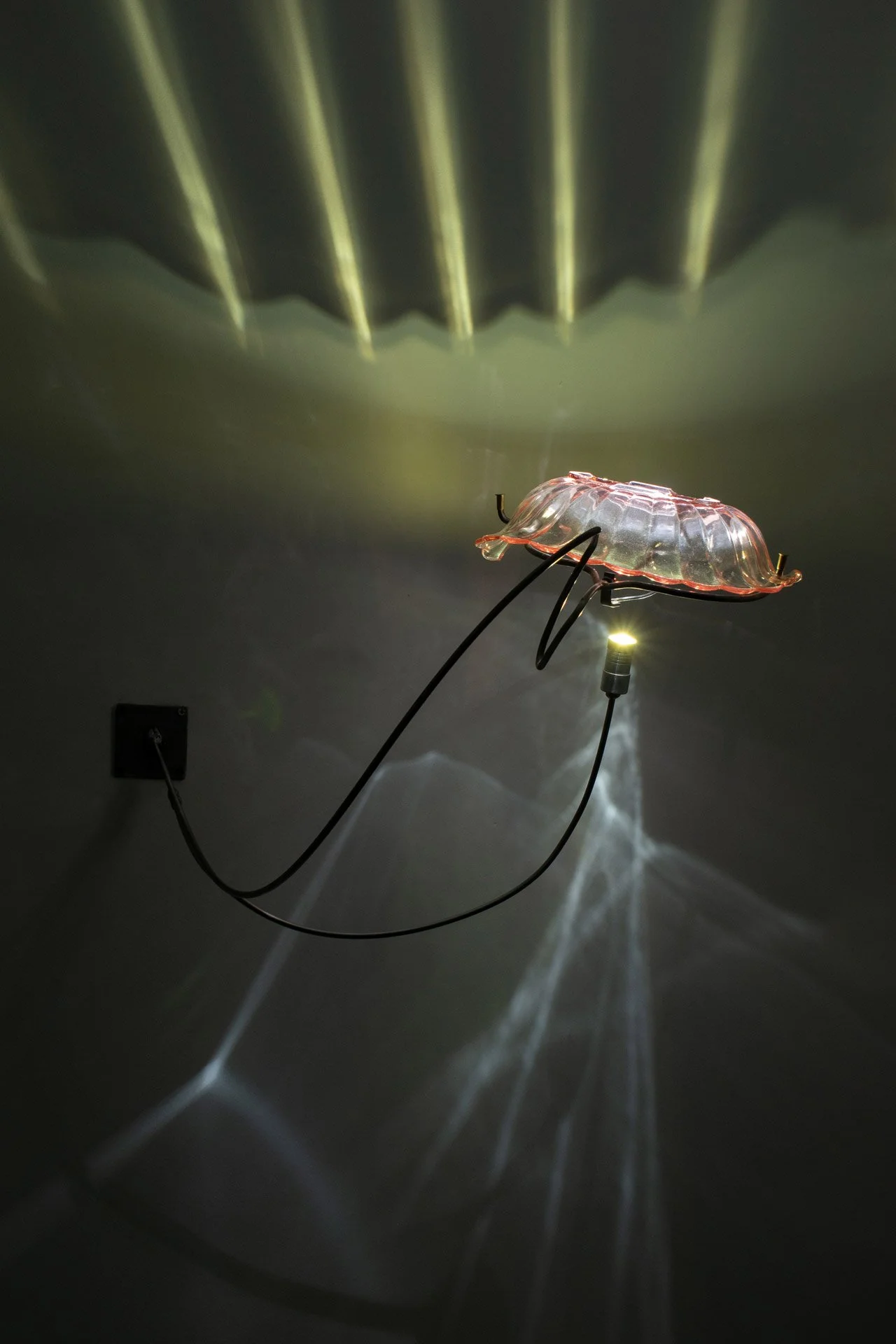 Wall-mounted light fixture made of bent steel, brass accents, and a pink vintage scalloped glass bowl. LED-lit, it casts white light with yellow streaks.