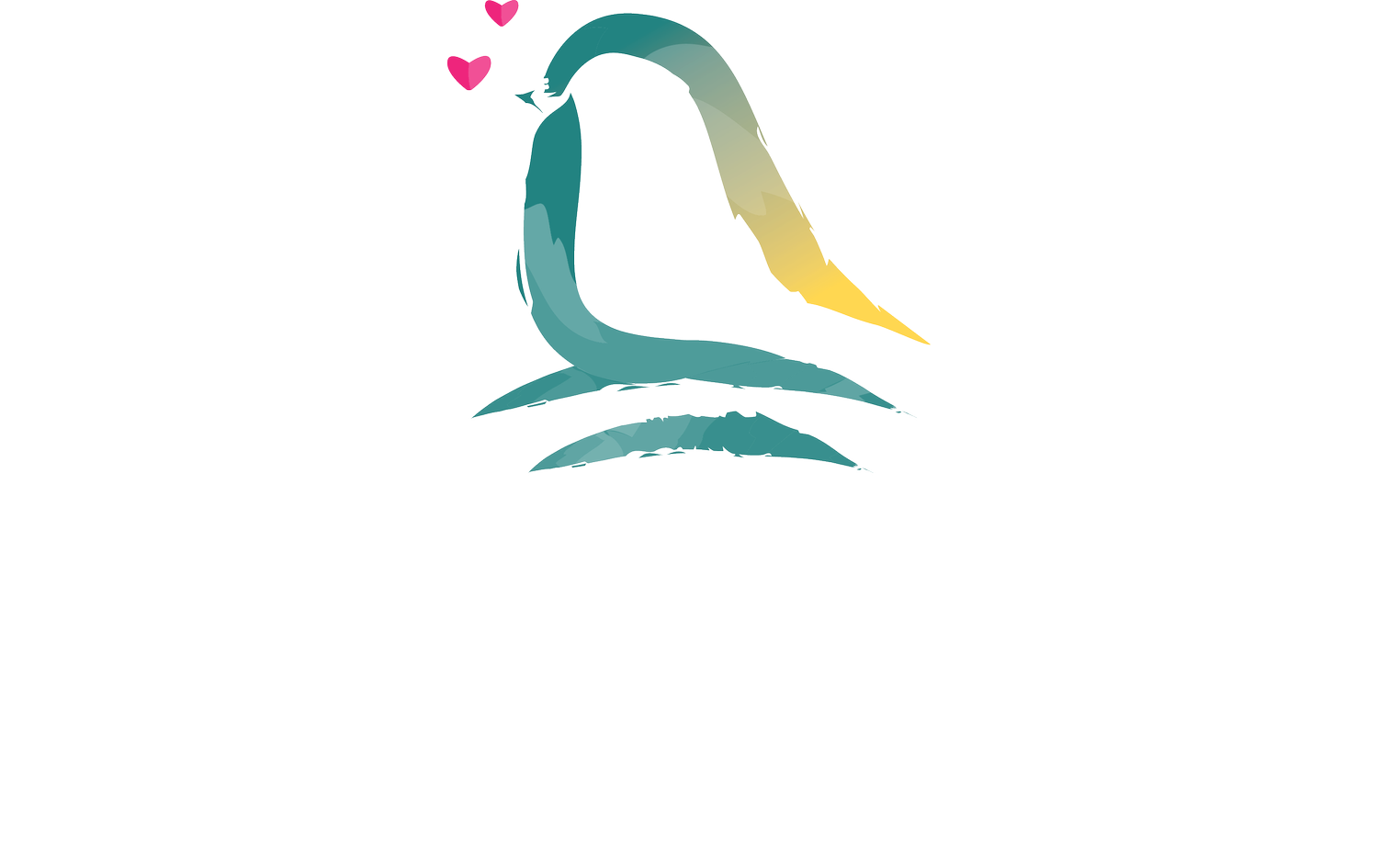Sparrow Sonography