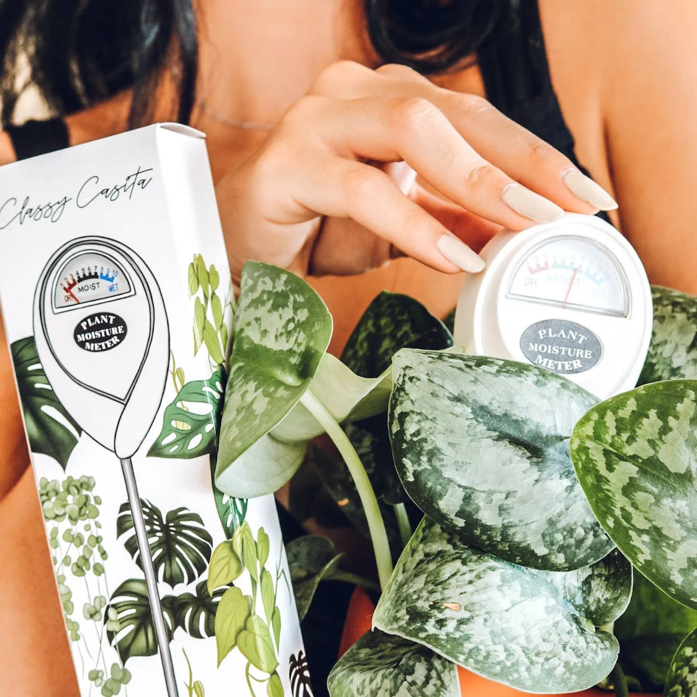 moisture-meter-5.jpg