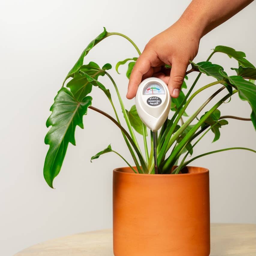 moisture-meter-3.jpg