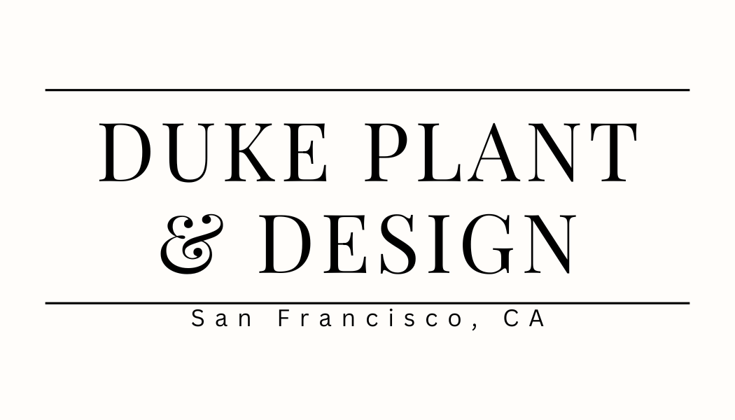 Duke Plant &amp; Design