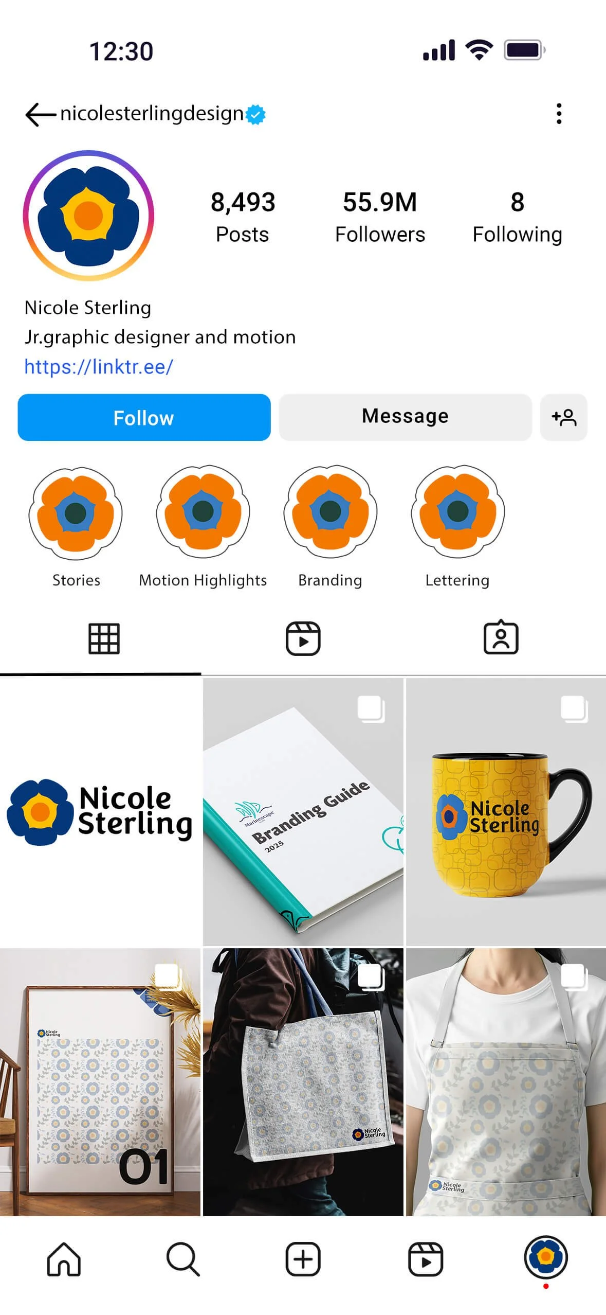 Instagram profile page of Nicole Sterling, a graphic designer, with branding and product images featuring her logo, branded merchandise, and promotional materials.