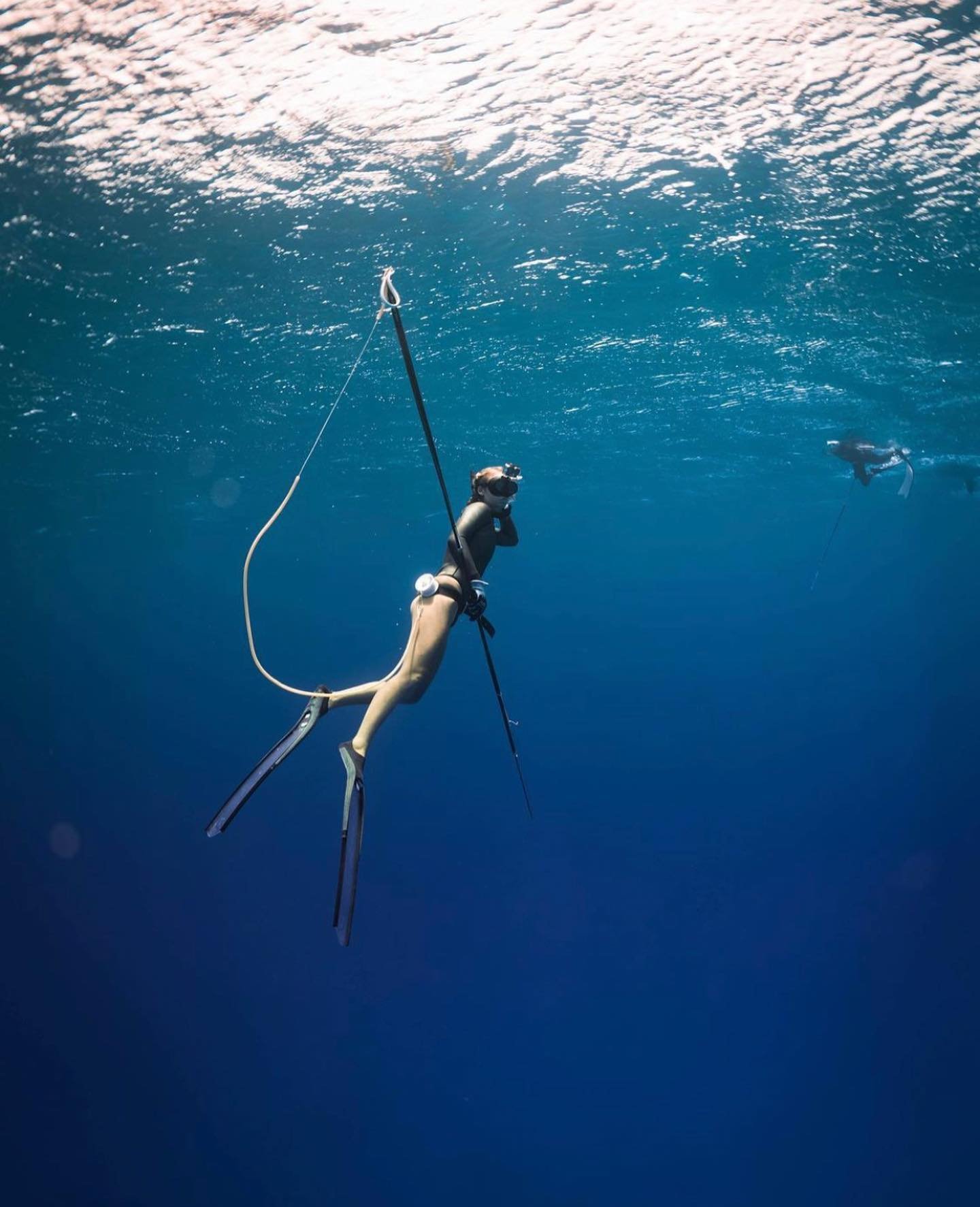 A person wearing scuba gear and swim fins underwater with a spearfishing pole, and another diver is visible in the background.