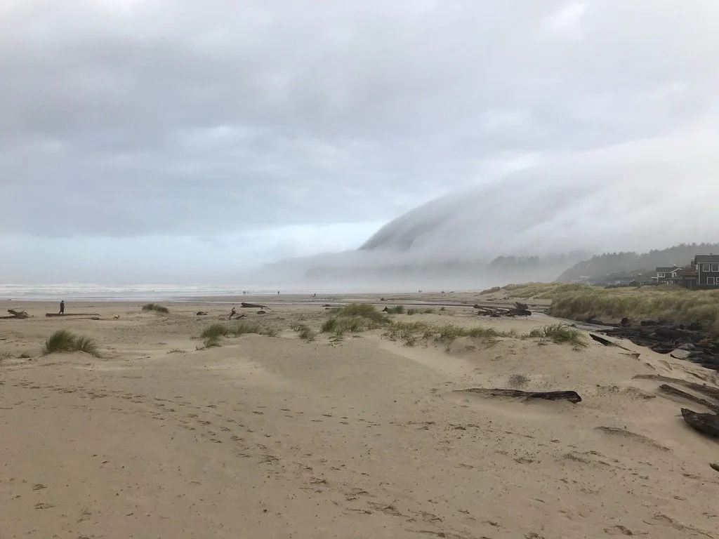 A foggy beach scene with sand dunes, driftwood, some people, and fog-covered hills in the background.