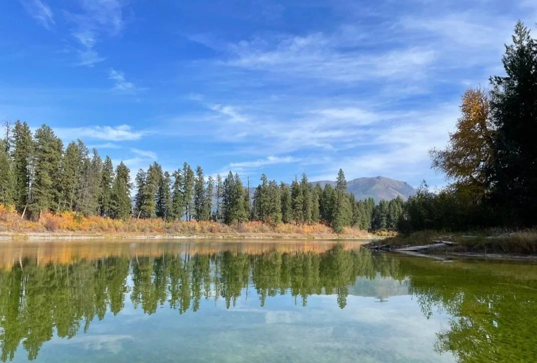 A calm river reflecting pine trees, hillside, and blue sky with wispy clouds, with mountains in the background.