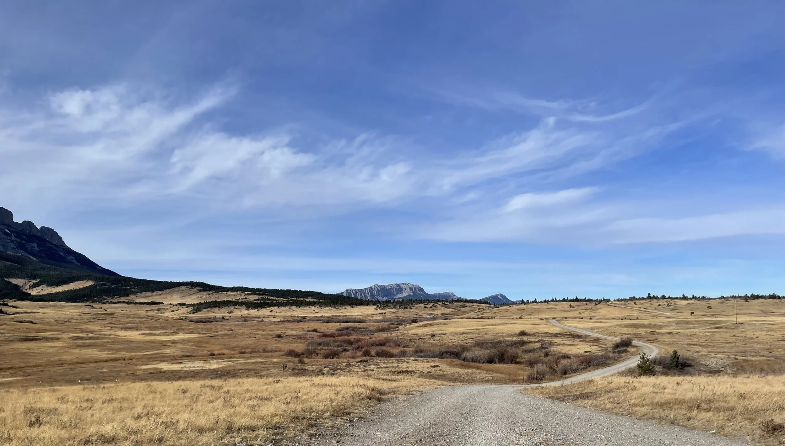 A dirt road winding through a vast, open grassland with distant mountains under a partly cloudy blue sky.