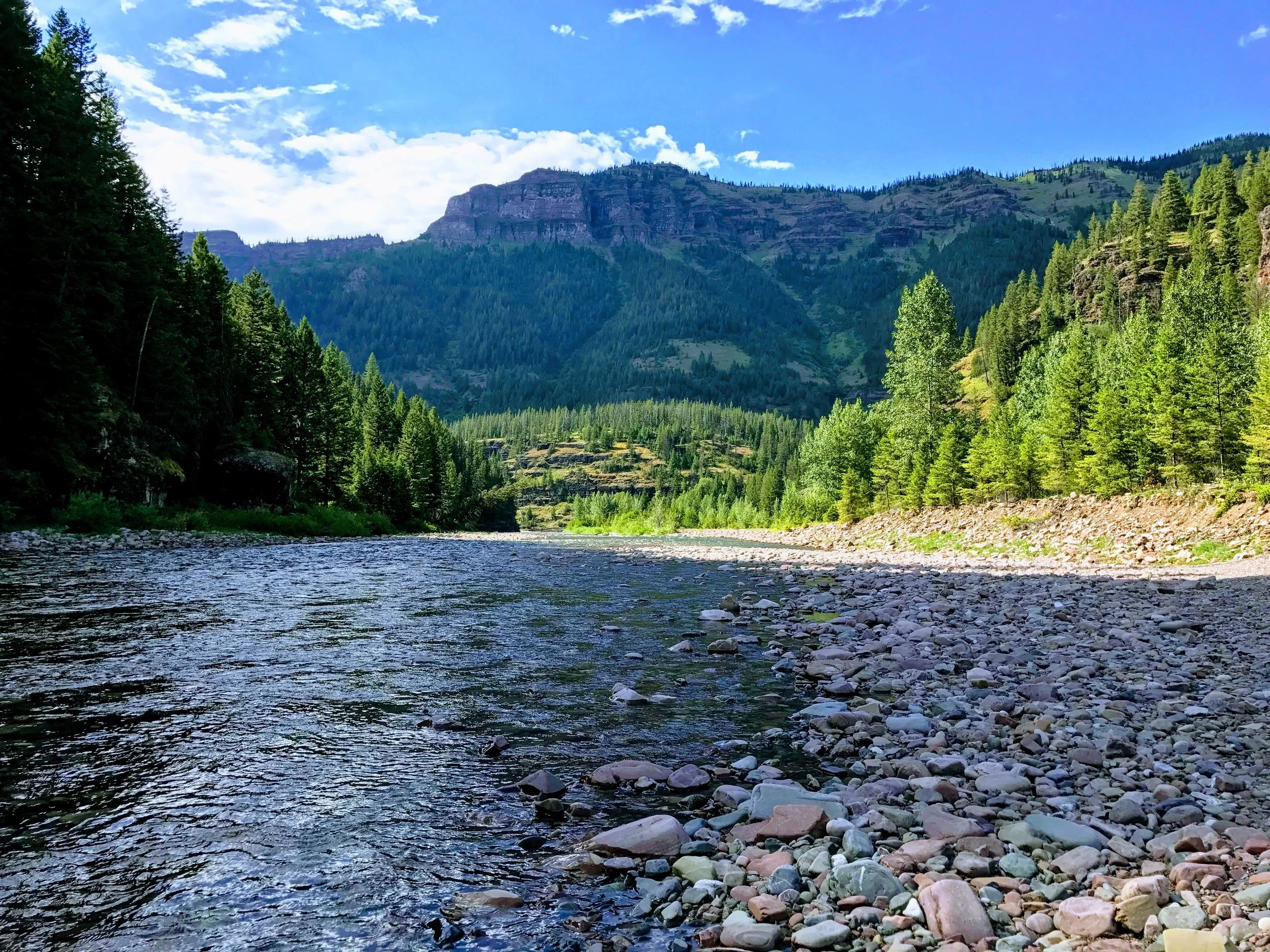 6F320185-5FAB-4803-9F66-649E17C66079.jpeg