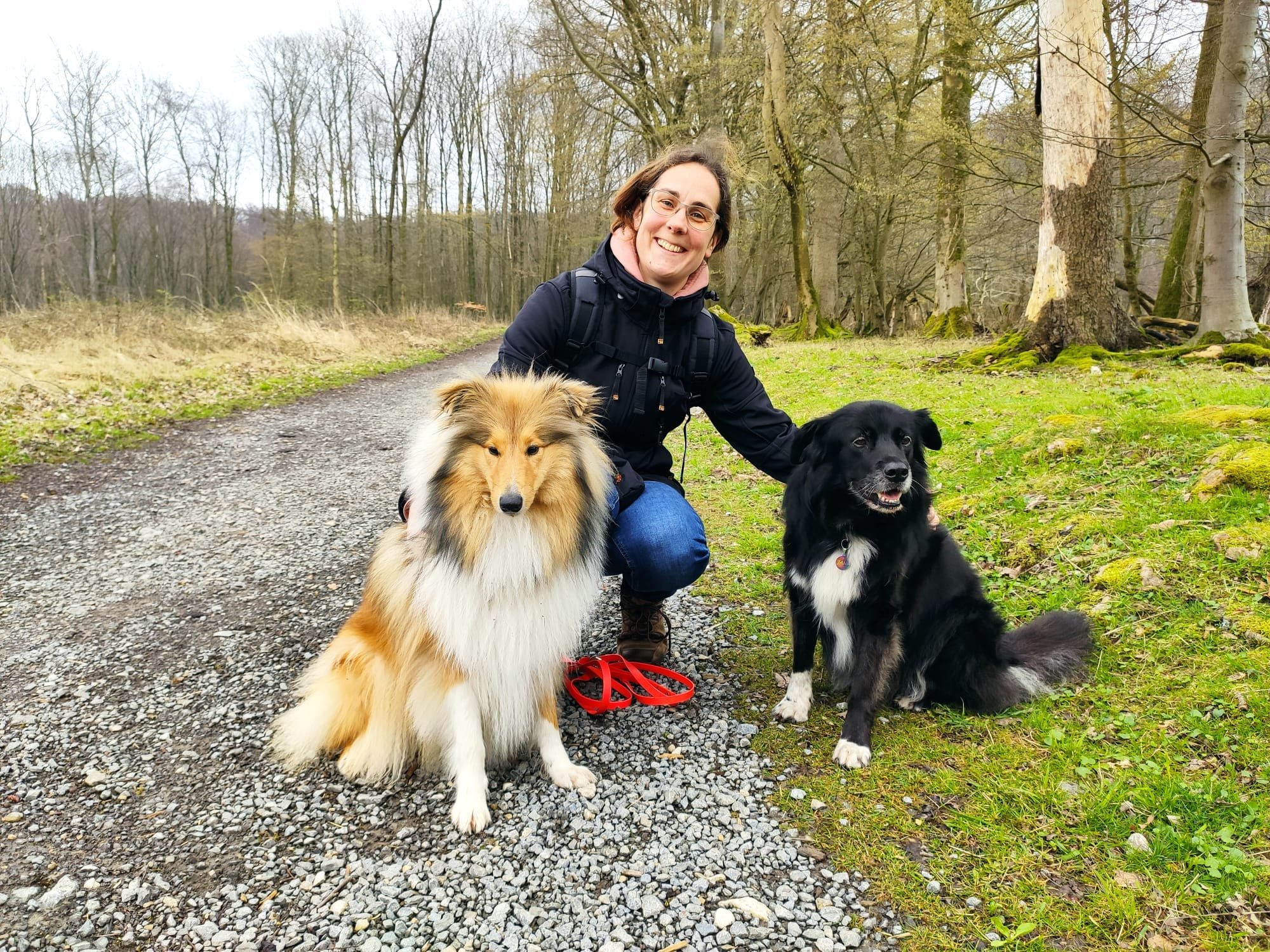 Eine lachende Frau mit Brille kniet in einem Wald mit zwei ausdrucksvollen Hunden, einem Shetland Sheepdog und einem Border Collie, auf einem unbefestigten Weg.