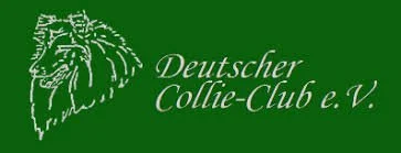 Grünes Hintergrundbild mit white Collie-Hundeporträt und dem Text 'Deutscher Collie-Club e. V.'