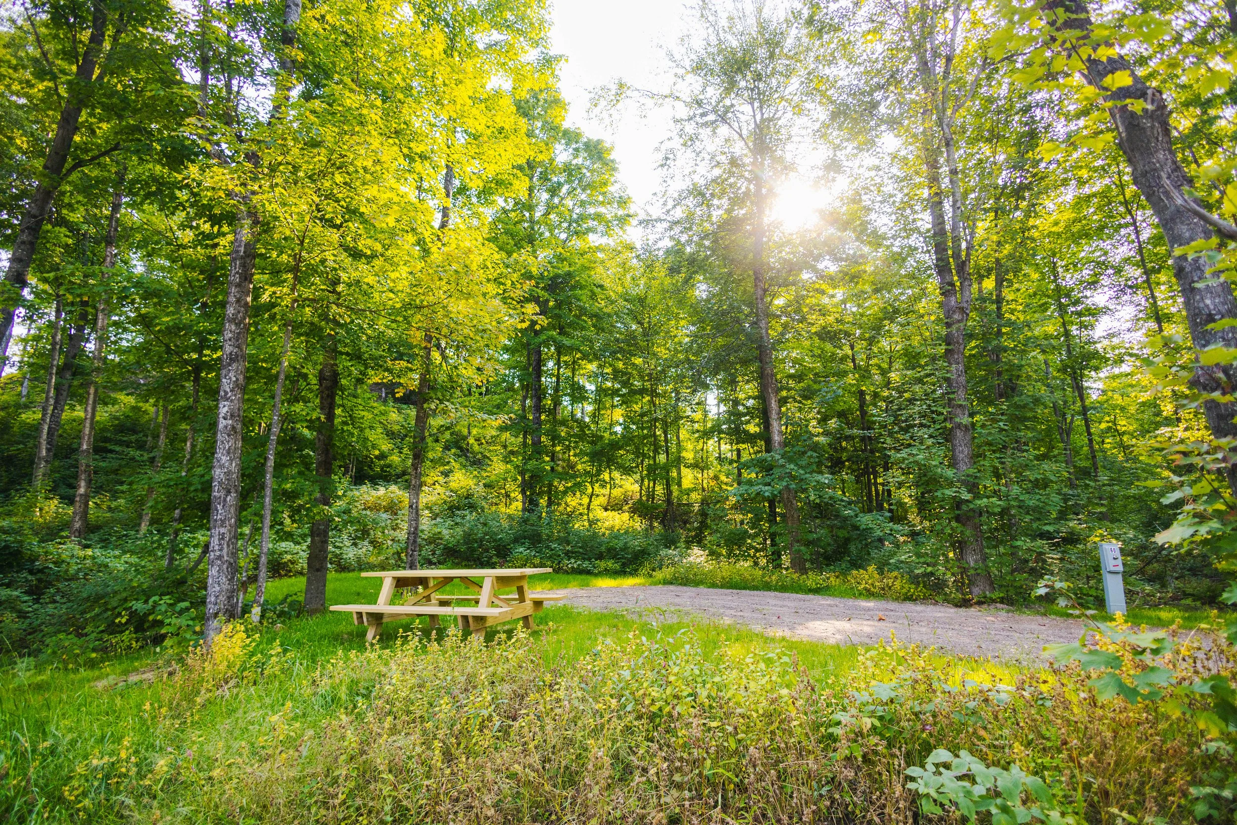 Lush Green Campsite at Marquette Michigan Campground Rippling River Raging River