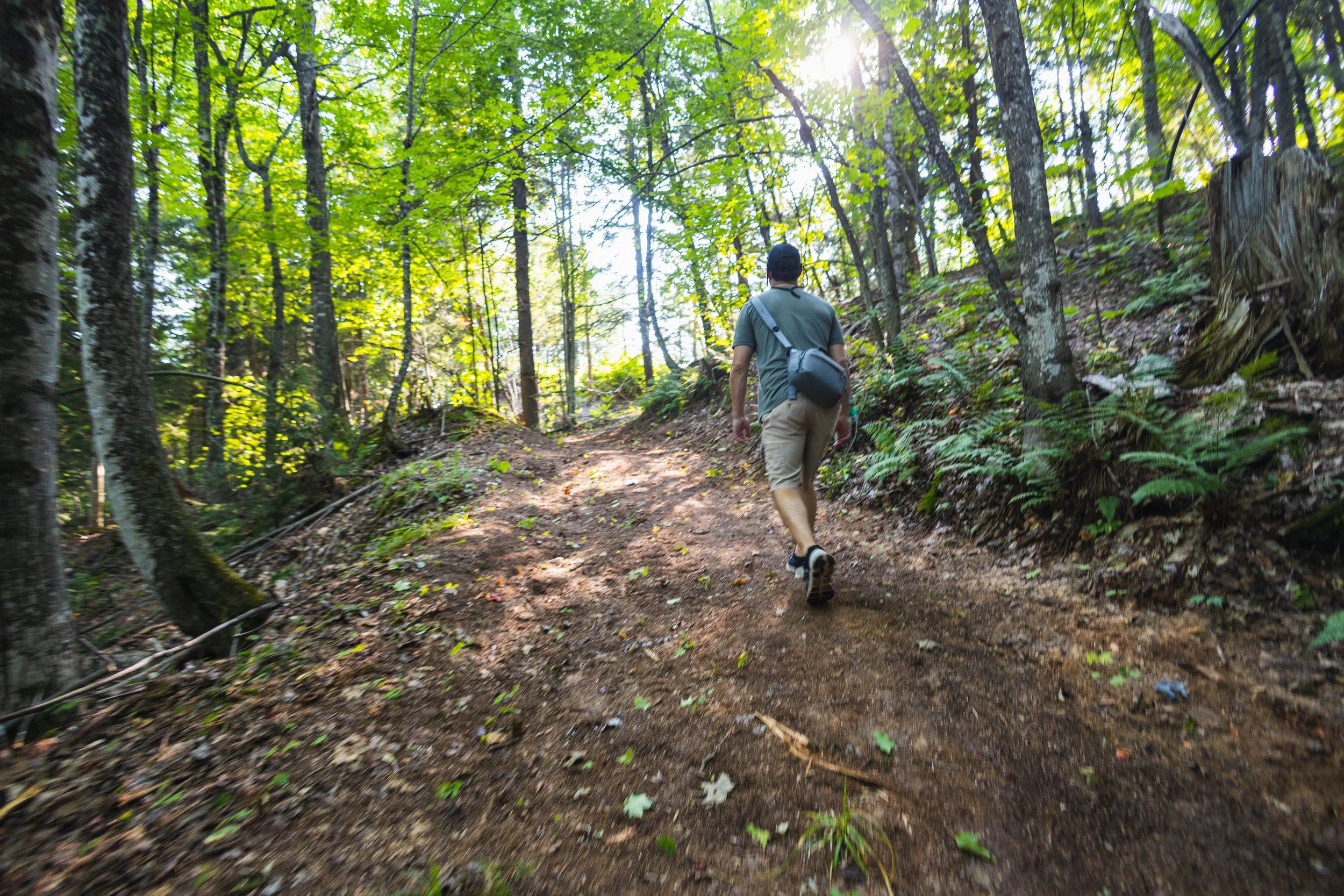Man Hiking through Woods