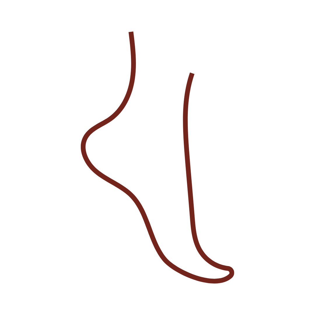 Outline drawing of a nose in profile with bristle lines.