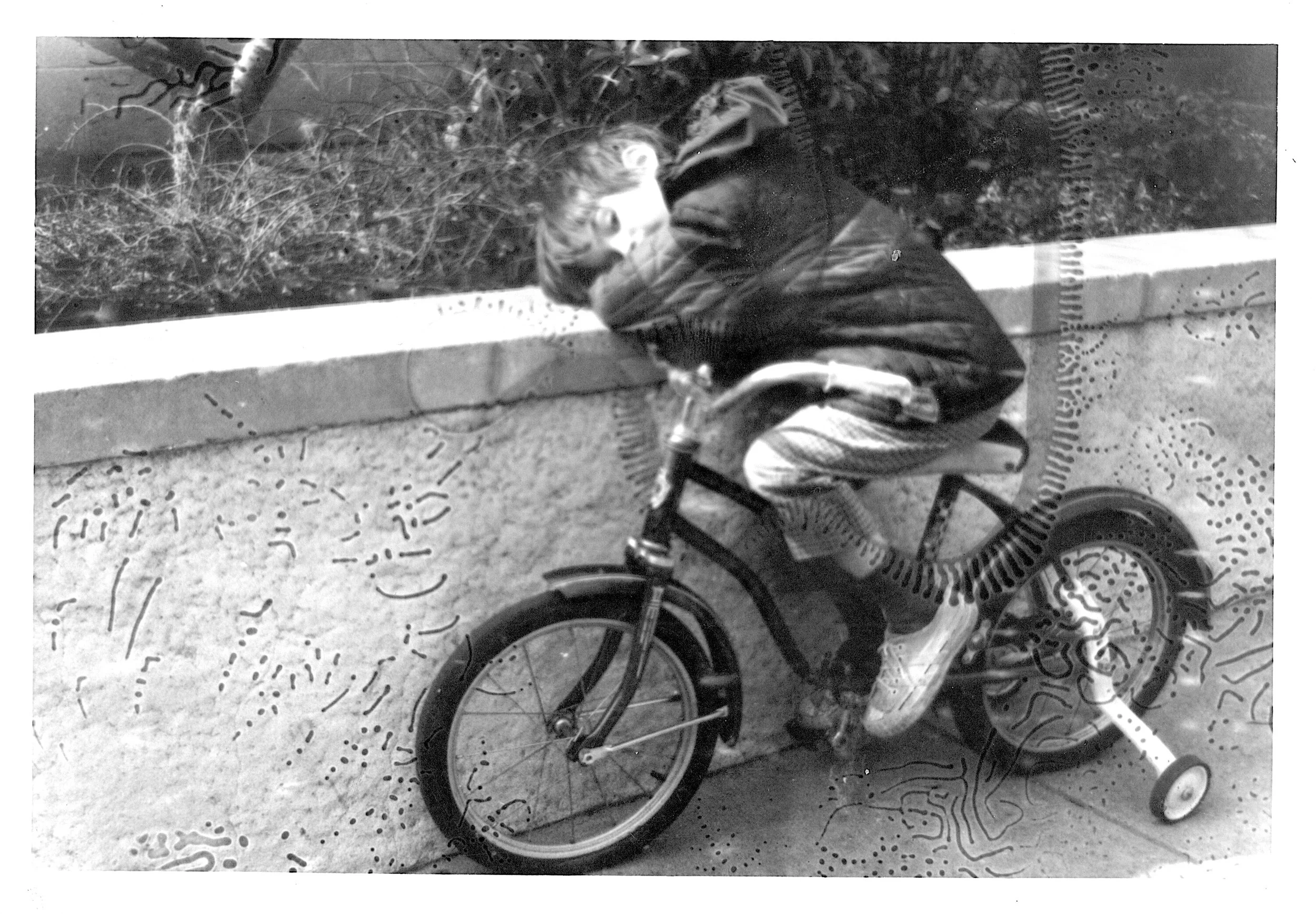 A young boy with curly hair looking at a garden through a window while sitting on a small bicycle with training wheels on a sidewalk.