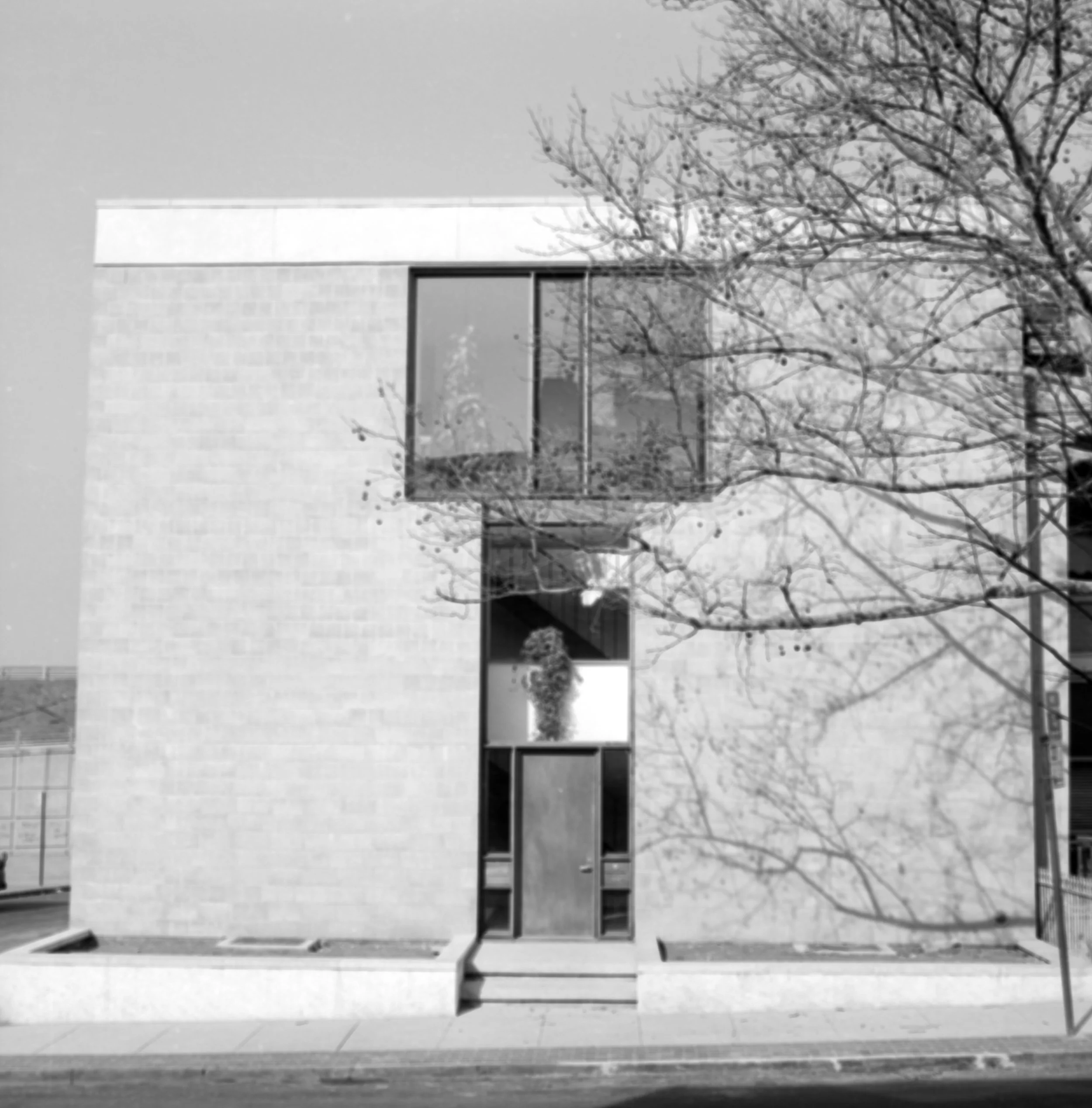 A modern two-story building with large windows, a centered door, and planters on either side of the entrance. A leafless tree is in the foreground, casting shadows on the building.