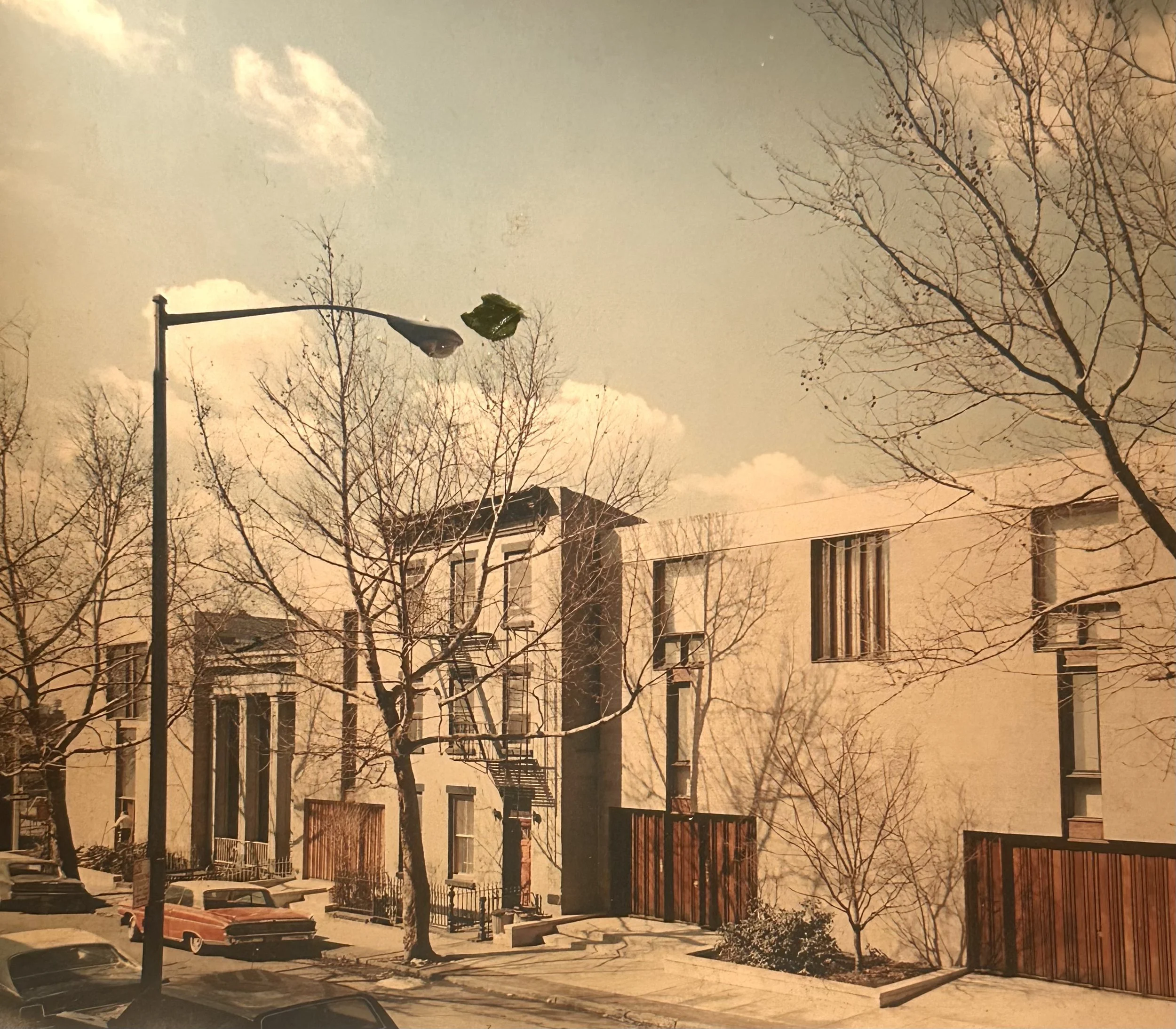 A residential street with parked cars, leafless trees, a streetlamp, and a modern apartment building under a partly cloudy sky.