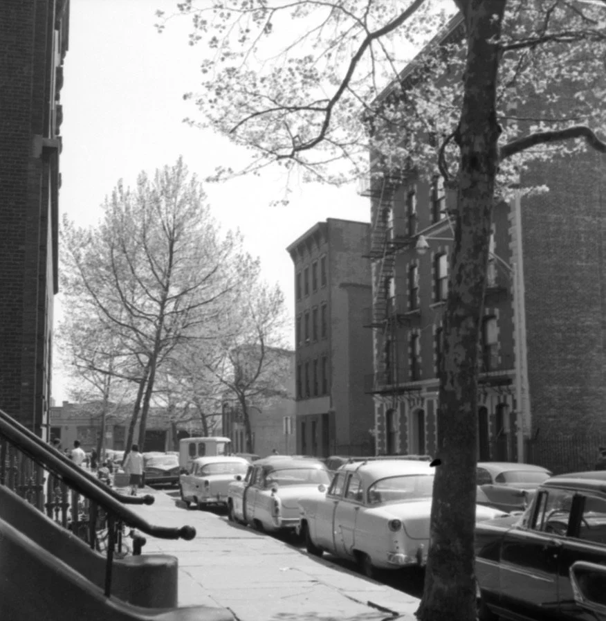 Empty lots willow looking toward Merz Lots right side.jpeg