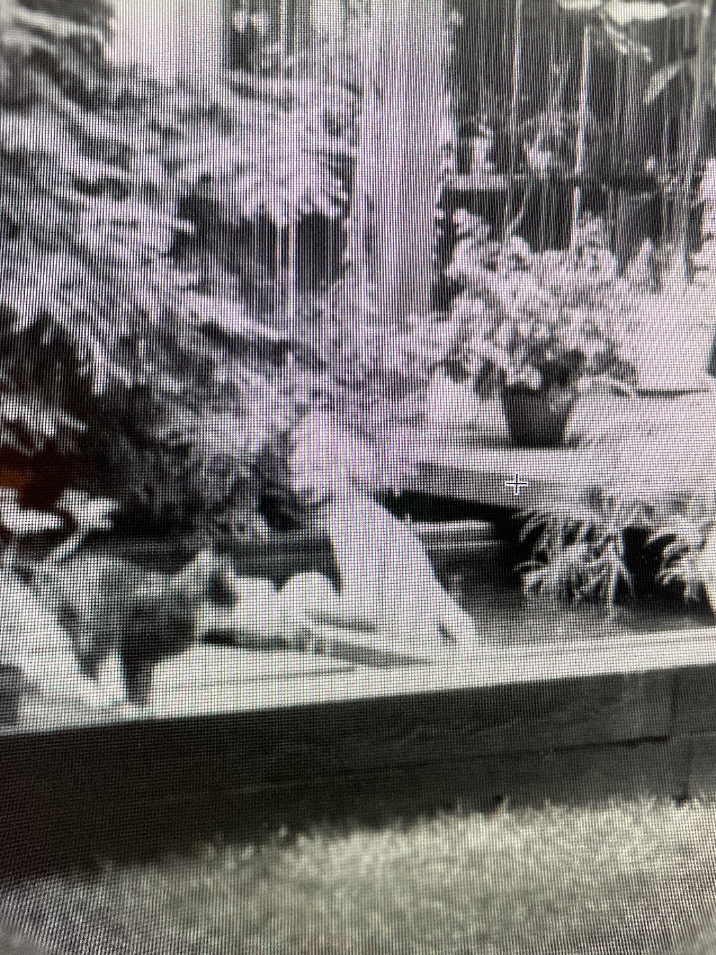 64567403023__B7104659-D562-42CC-AF62-2D8EC2DB7AE9 2.jpeg