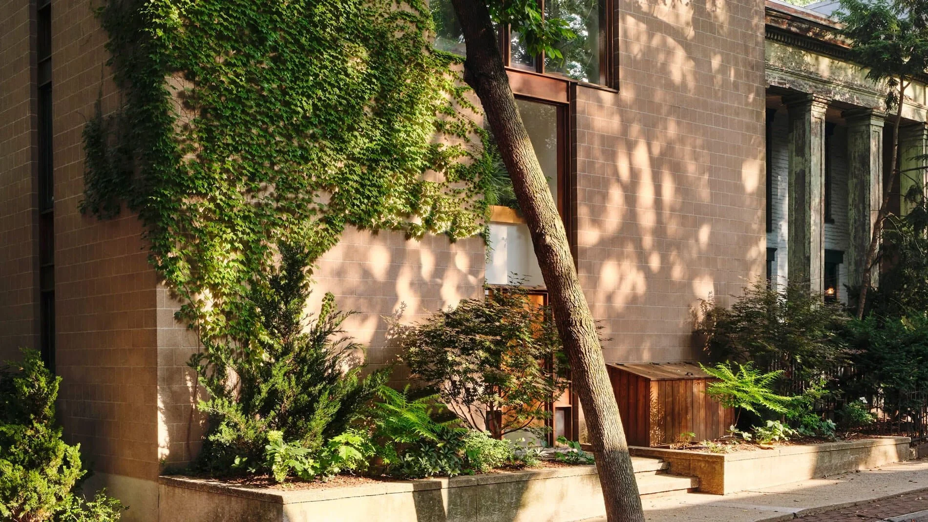 City sidewalk with building wall, greenery, and trees casting shadows in the late afternoon.
