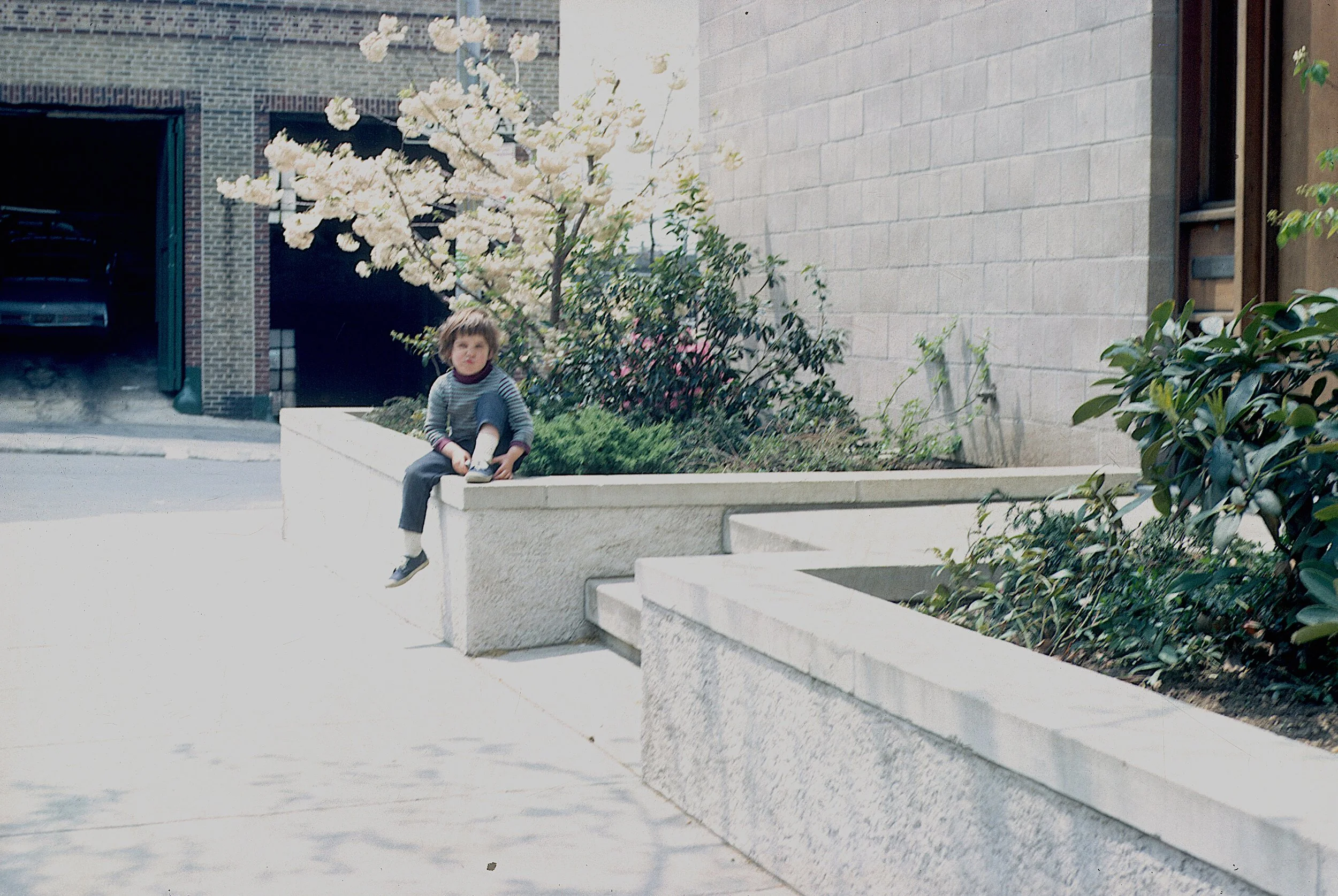 A young boy sitting on a low concrete wall in front of landscaped planters with blooming flowers and bushes, with a building and a garage with a car in the background.