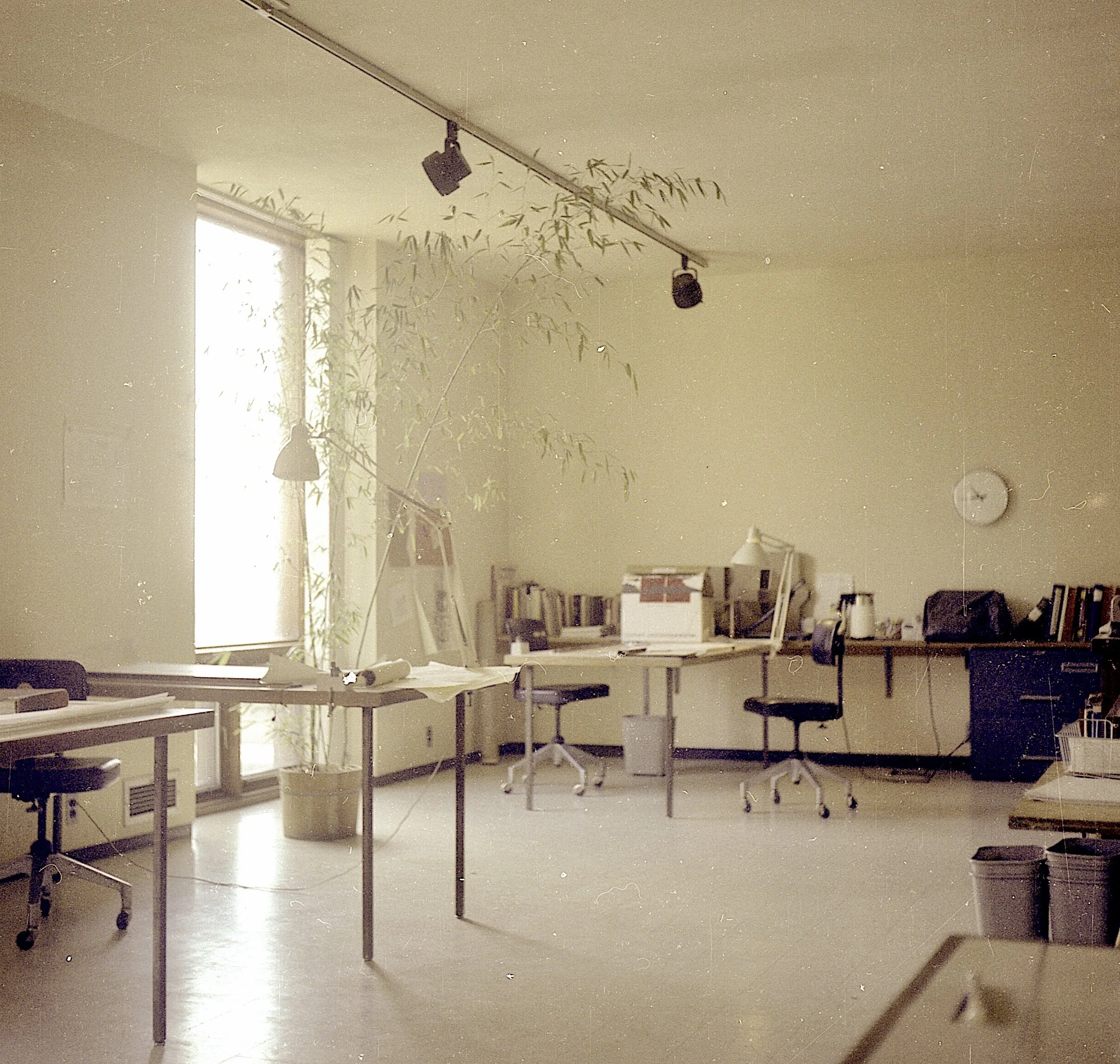 The Merz's architects office