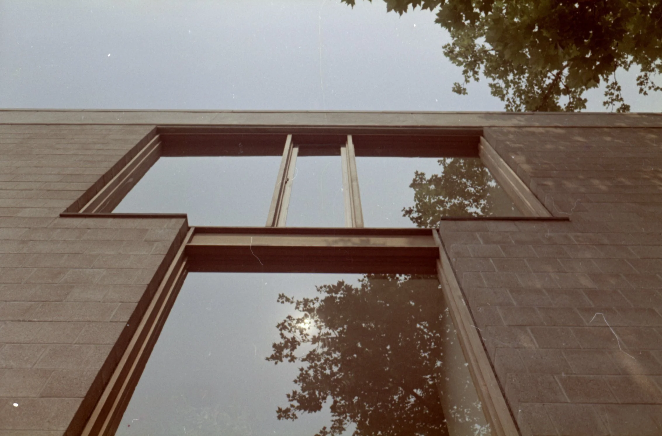 Looking up at the side of a building with large windows reflecting the sky and trees.