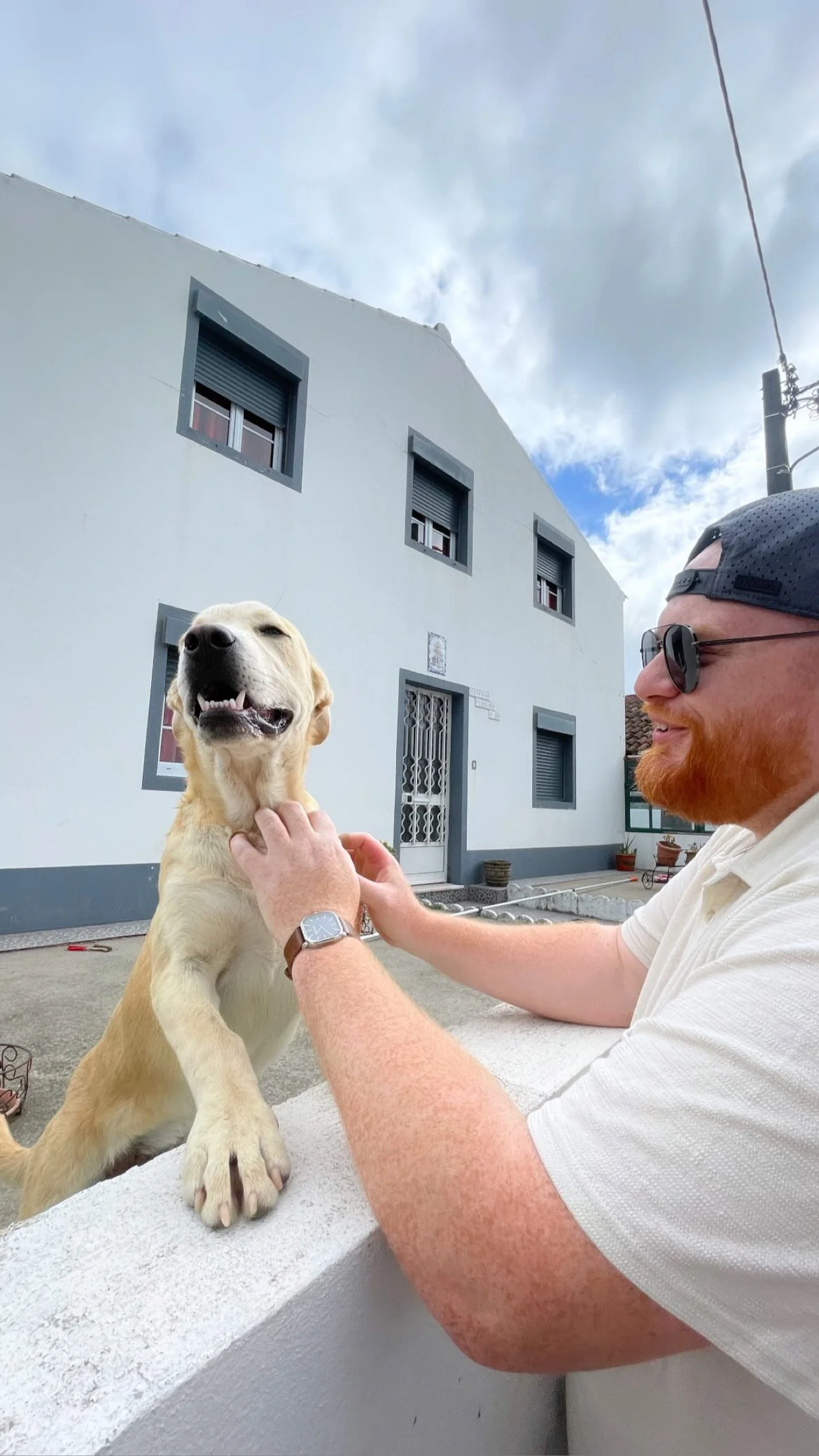 Traveling to the Azores and finding an adorable puppy
