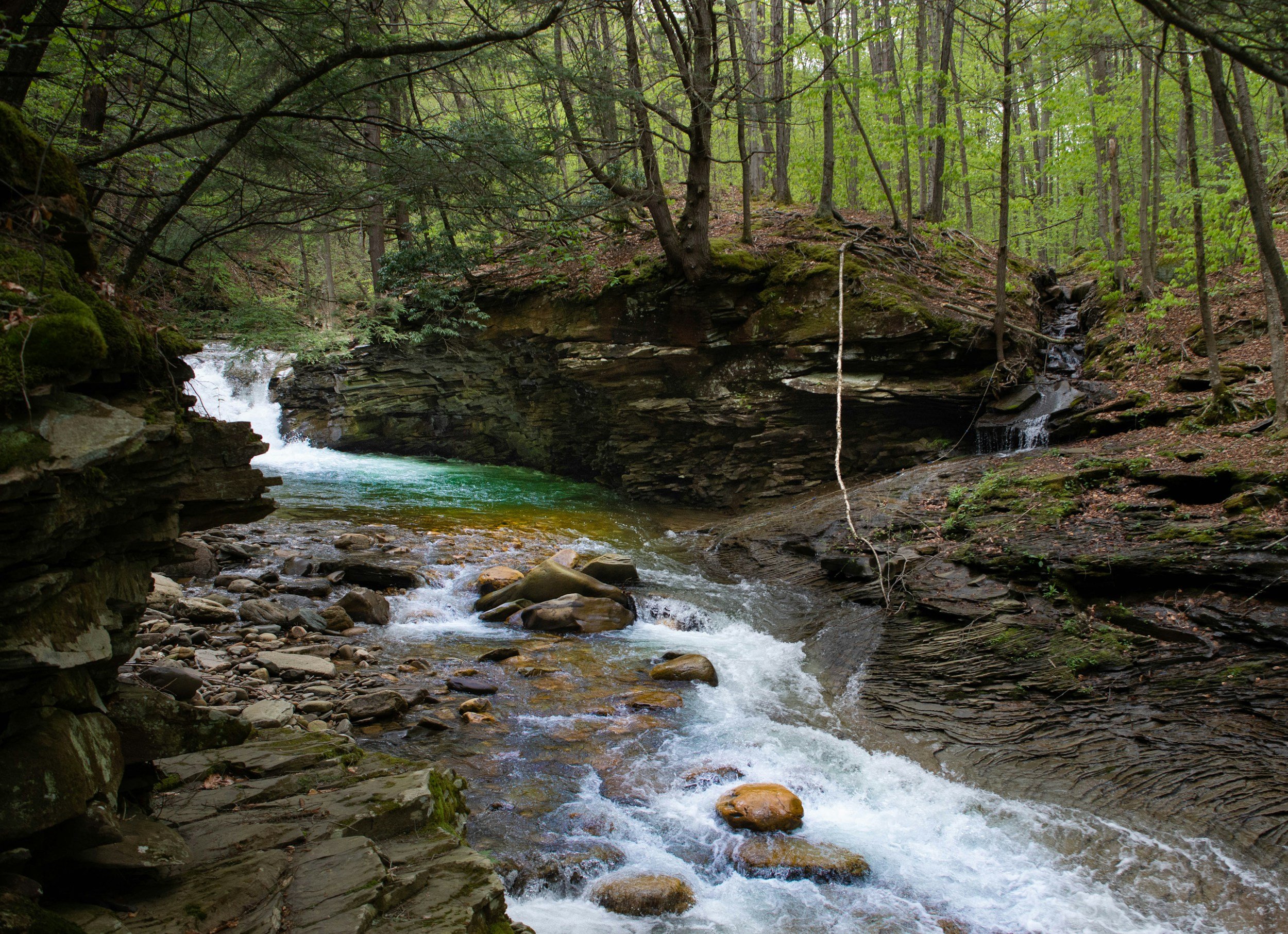 A forest stream flowing through moss-covered rocks and layered cliffs, with green trees and foliage overhanging.