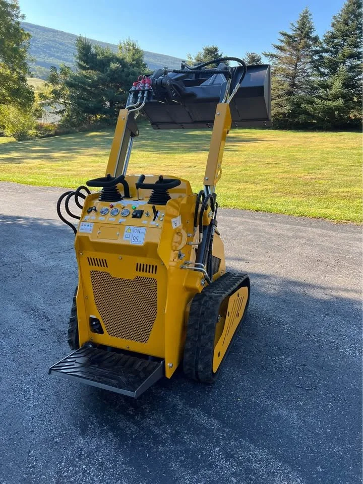 HUAYEE LHY480 MINI SKID STEER Back.jpg