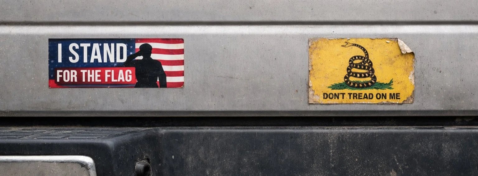 Standing Was Never the Issue