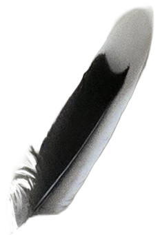 An electric hair straightening iron with a black and silver design