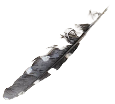 A crumpled, partially unwrapped foil or metallic object on a black background.