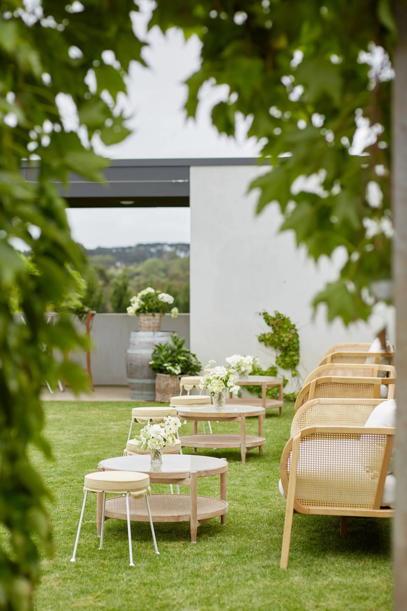 2023-11-11 11.37.56.jpg