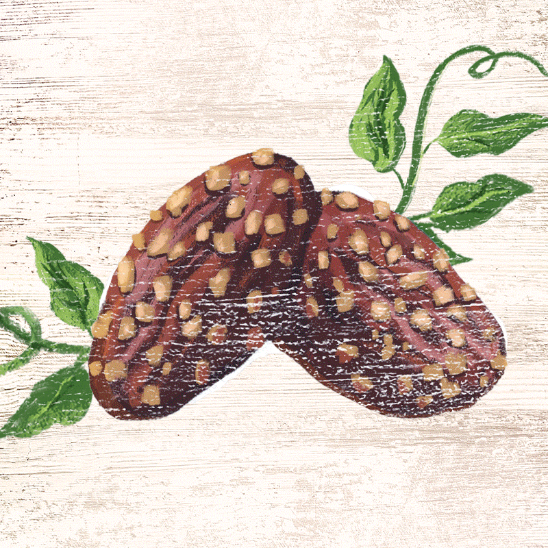 All fruit flavor cues were individually illustrated by hand.