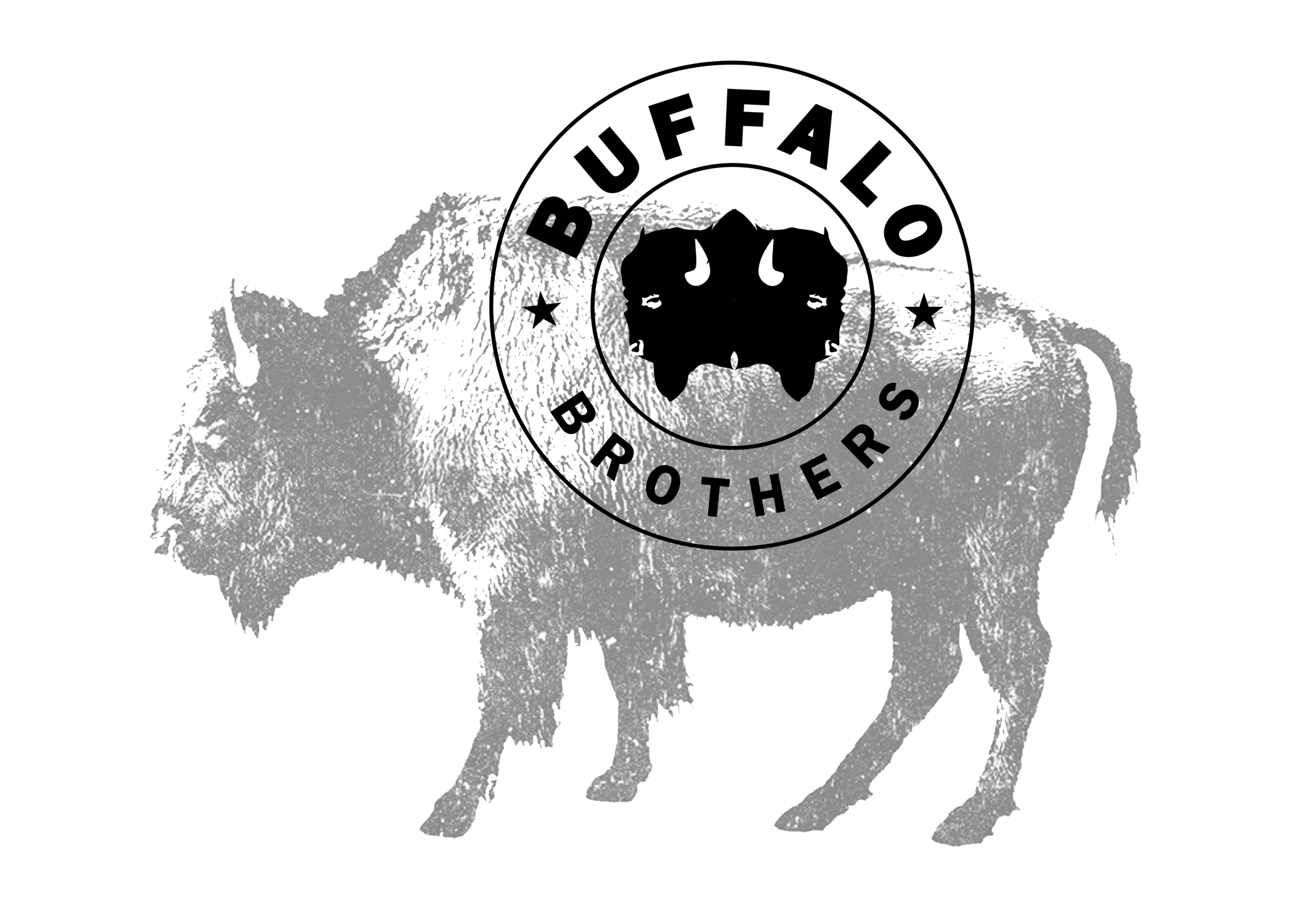 BUFFALO BROTHERS BEGINS