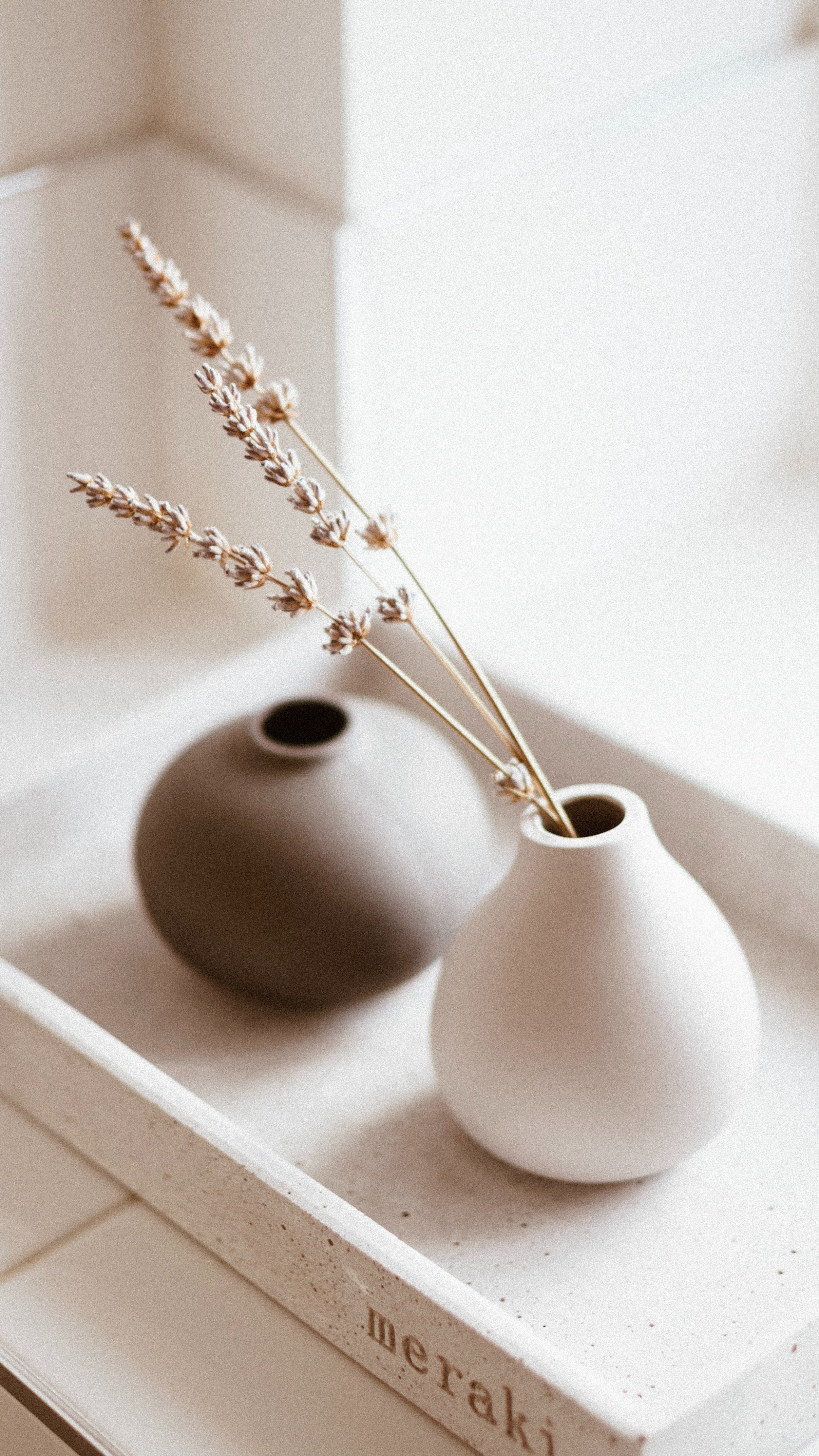 tan cotton plant in ceramic vase