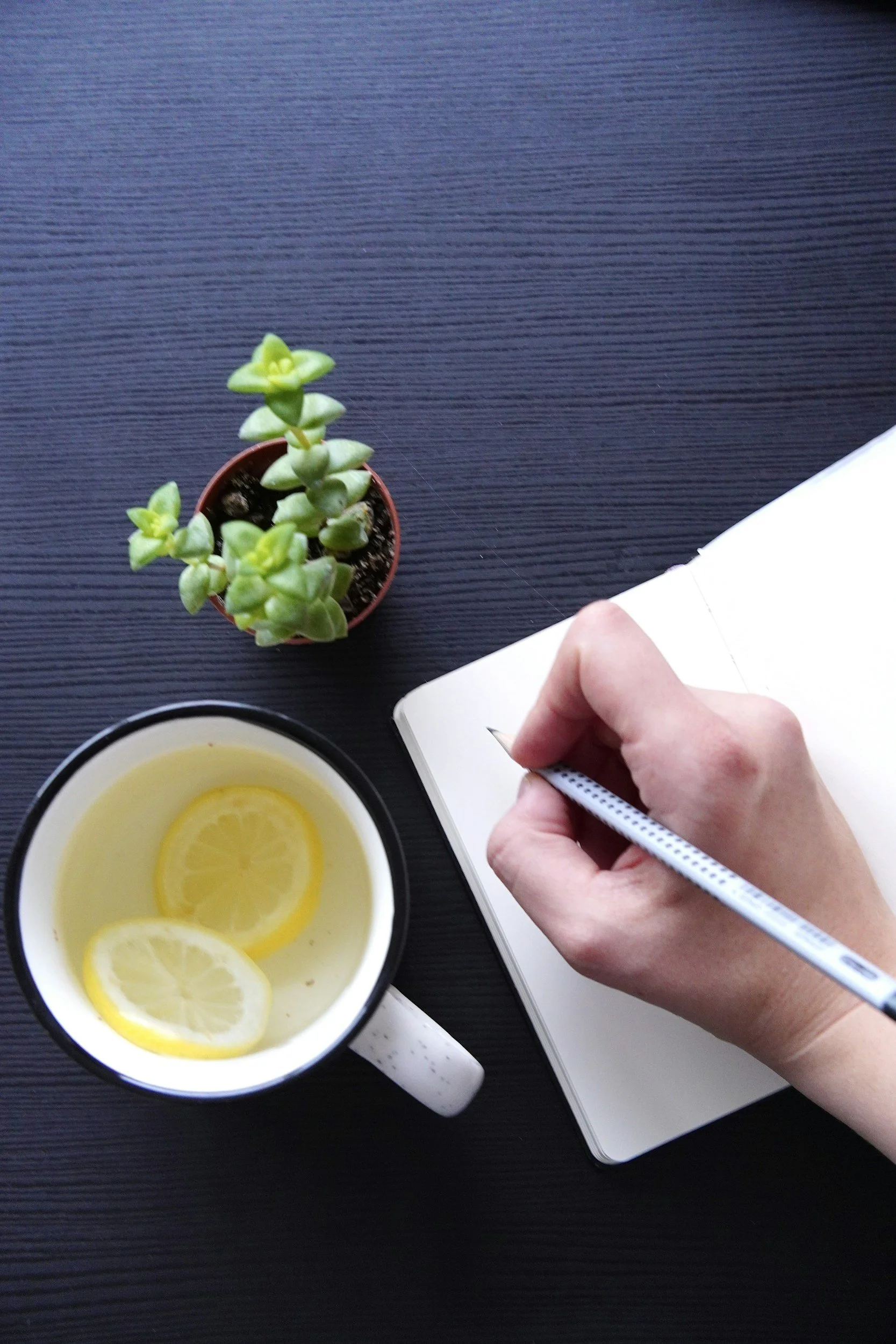 a person writing in a mental health therapy journal with a plant and a cup of tea on the table
