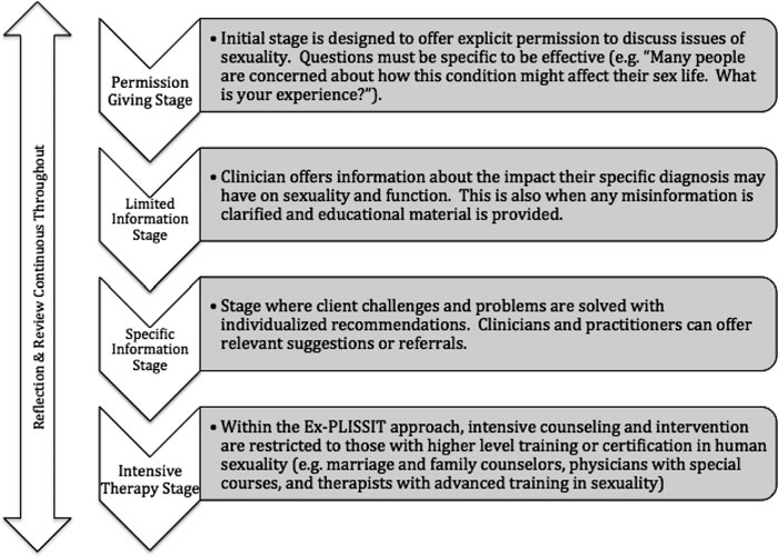 Flowchart describing stages of a sexual health counseling process, including Permission Giving Stage, Limited Information Stage, Specific Information Stage, and Intensive Therapy Stage.