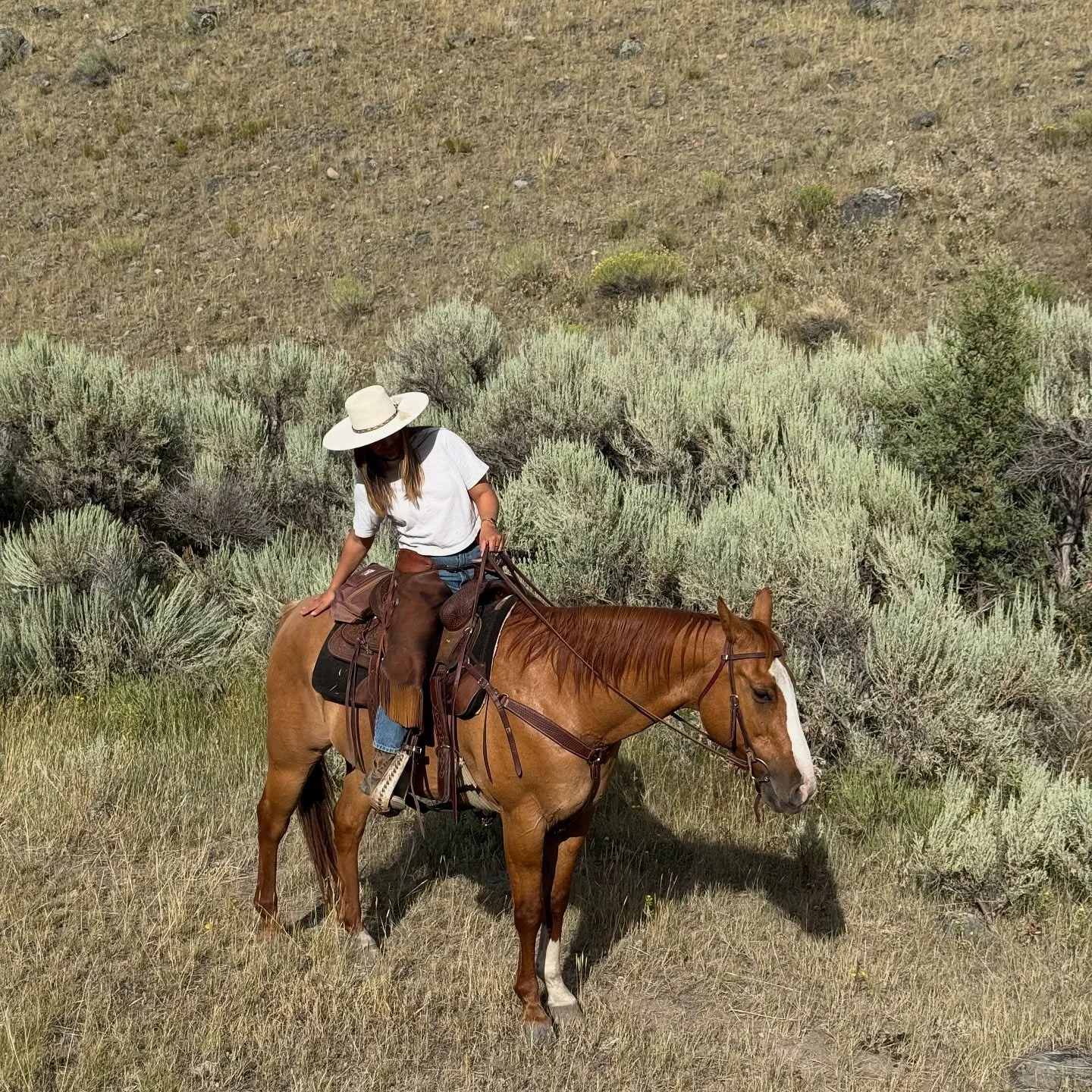 still appreciating summer even though we&rsquo;re in full on fall out here