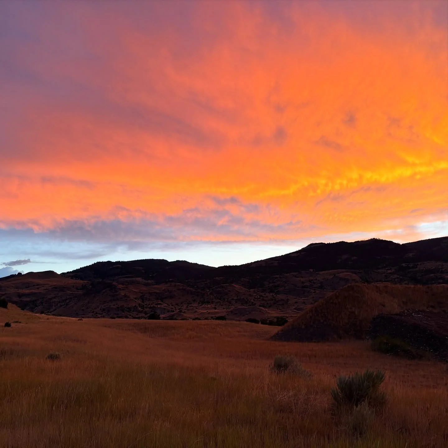 my favorite sunsets from this summer