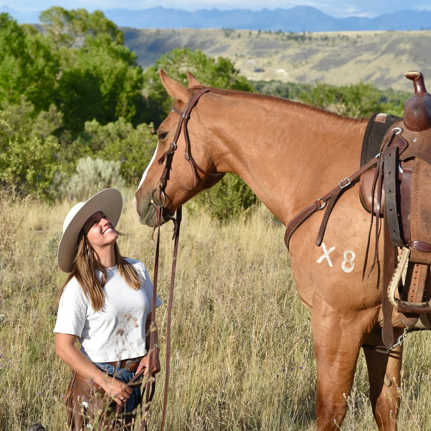 my obsession with clancy continues!!